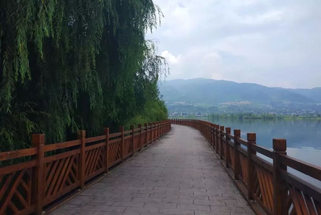 梦回青春，女孩寻觅梦中情——解析如何知道那个男孩的梦境之旅