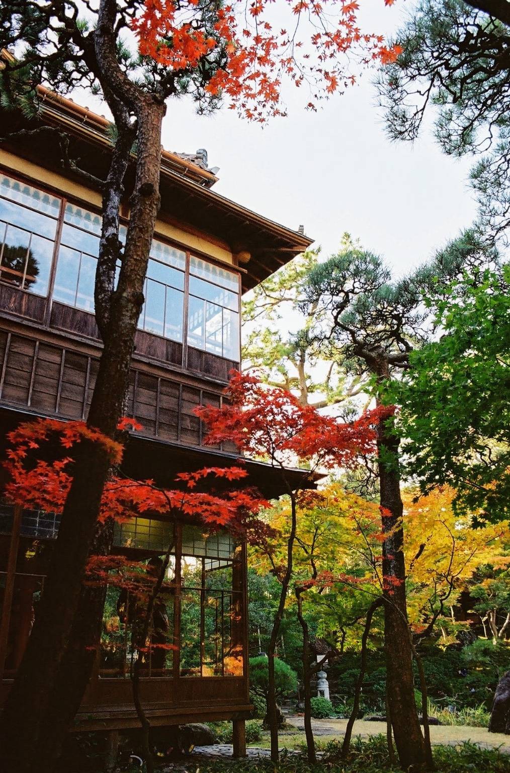 梦境的纠葛，一探昨晚梦到男朋友抱着我，与他家人共述离别之痛的深层含义