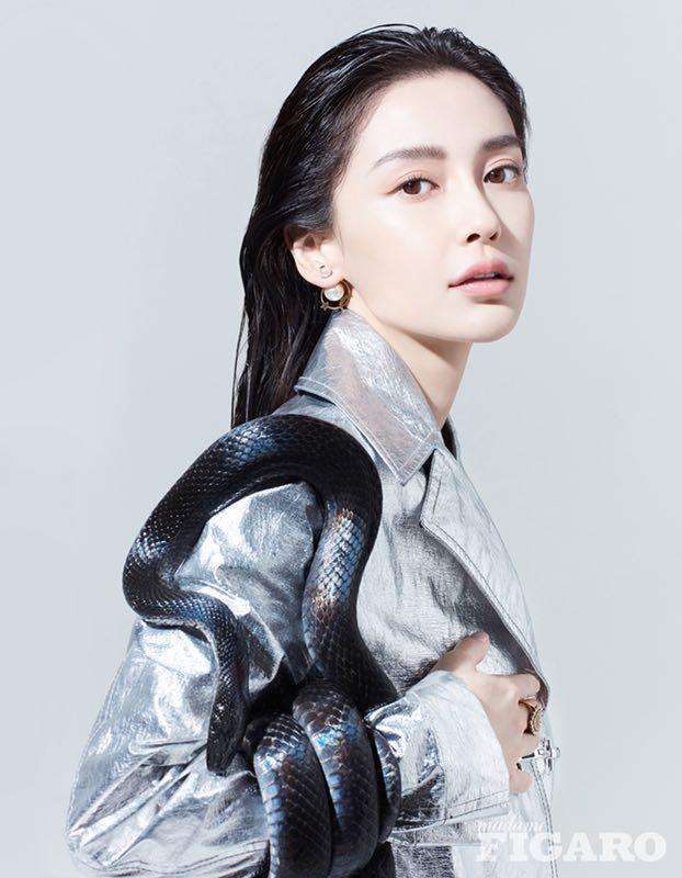 梦到黑白2条蛇预示着什么，探索梦境中的双重象征与深层含义