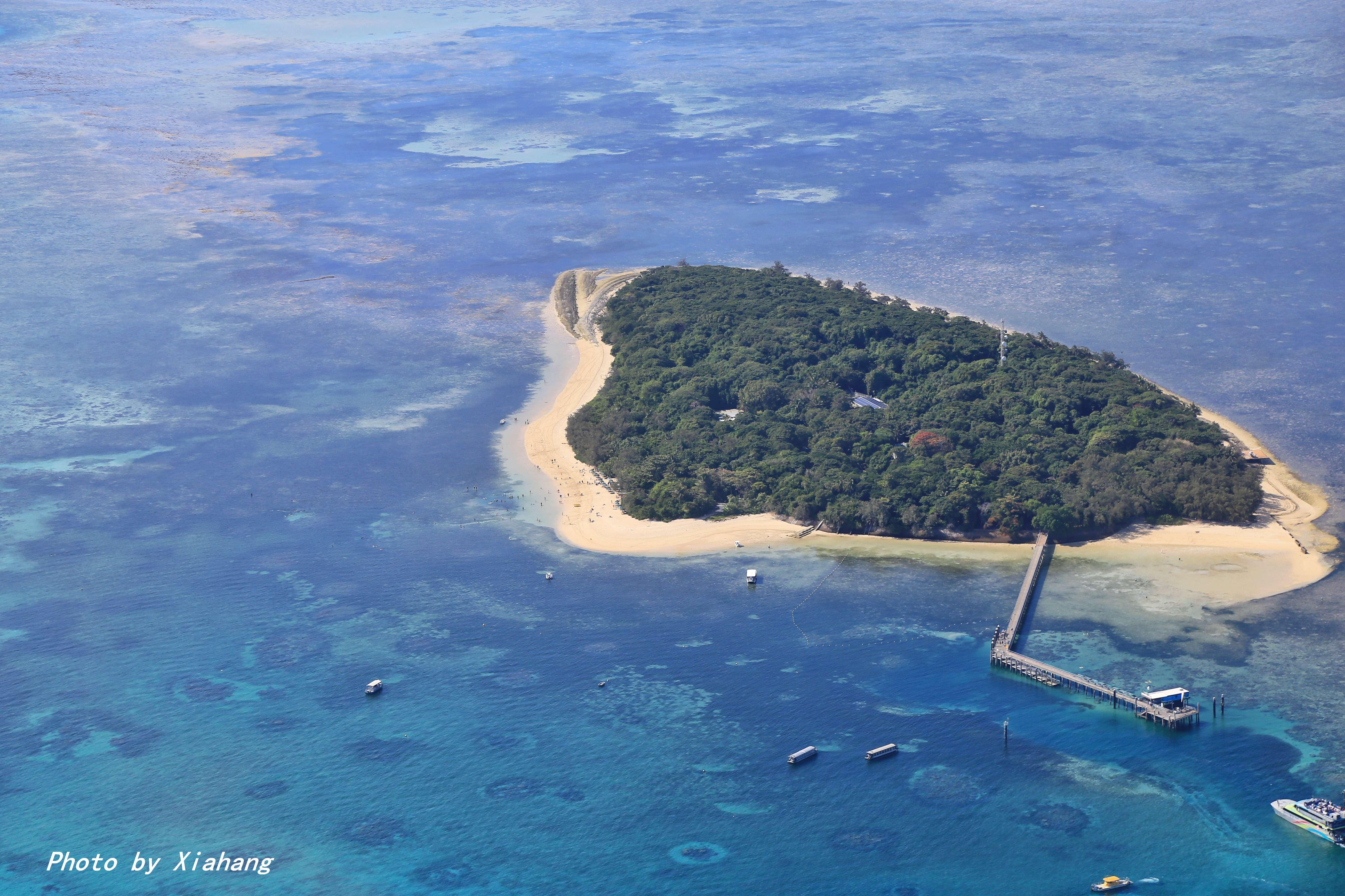 梦境交织，天空游鱼与地上垂钓——解析梦中奇景的深层含义