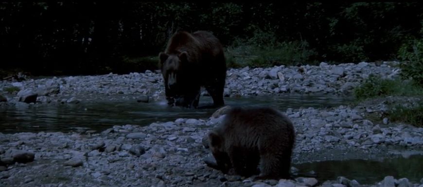 梦境中的亲子时光，梦见和爸爸一起捉鱼