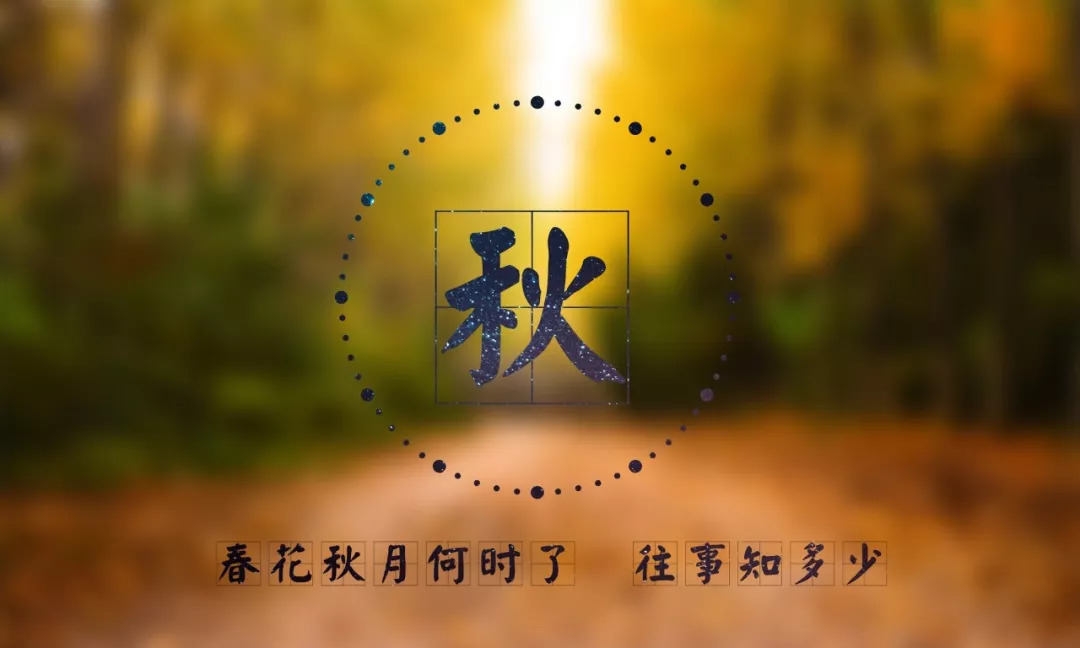 梦境中的旧日温情，解析我总是梦见前女朋友的深层含义