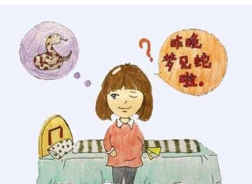 解梦，梦到大蜘蛛的深层含义与预兆