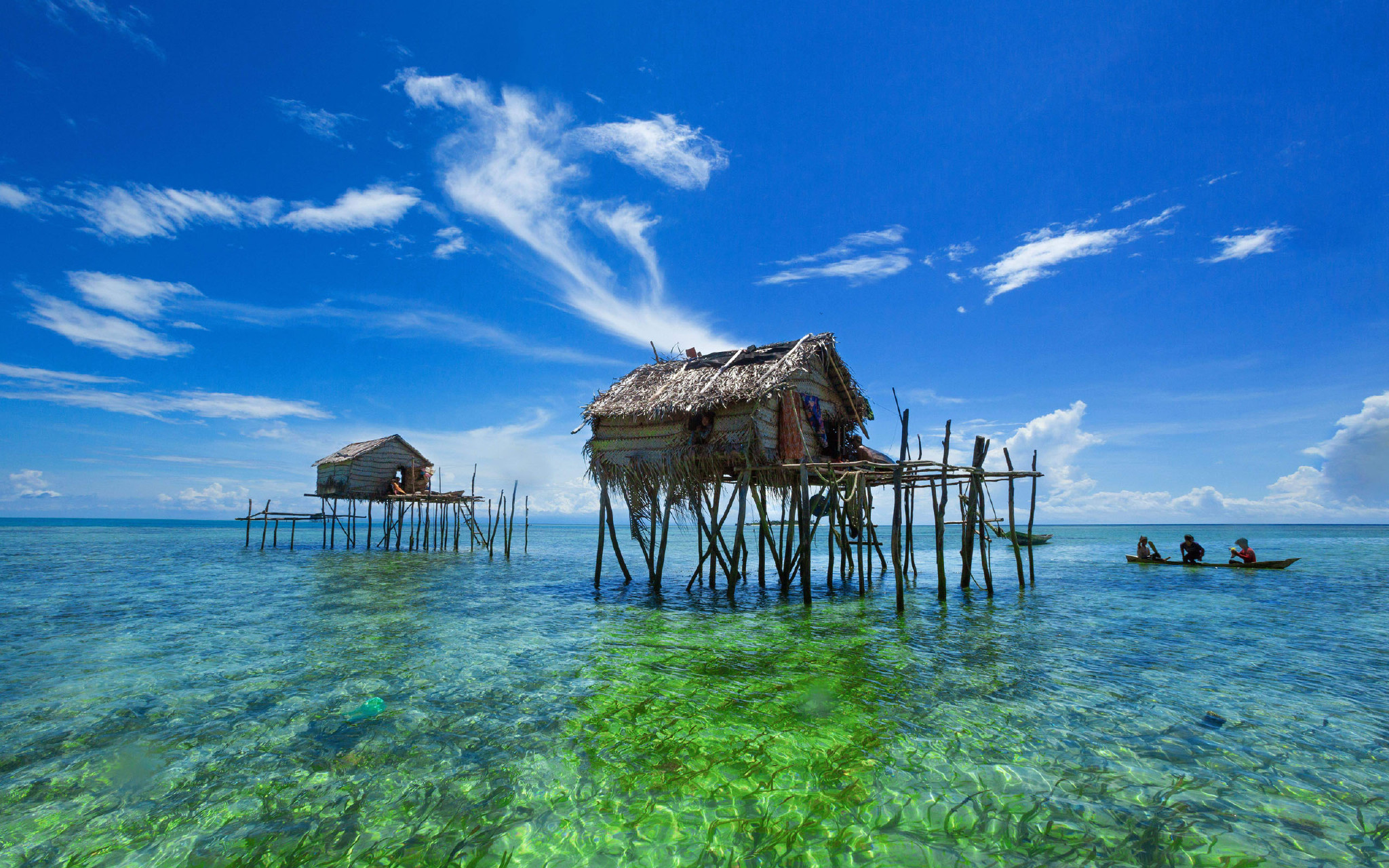 梦境之鱼，深潜心灵的隐喻与启示