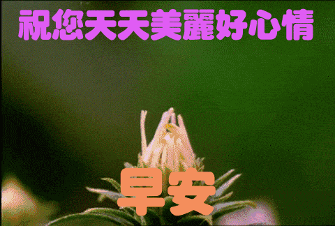 梦境交织的誓言，等待与重逢的预兆