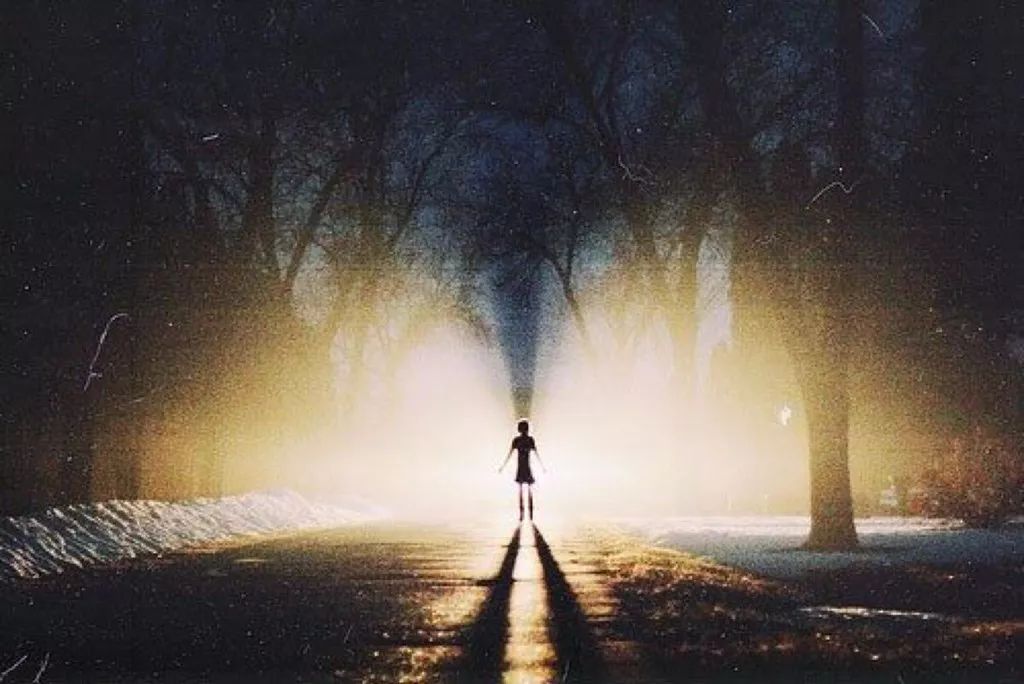 梦境深意，掩埋丢失小狗的隐喻与心理解析