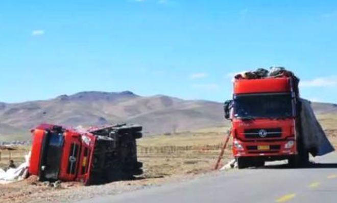 银幕下的温情重逢，梦回往昔与父亲共赏光影