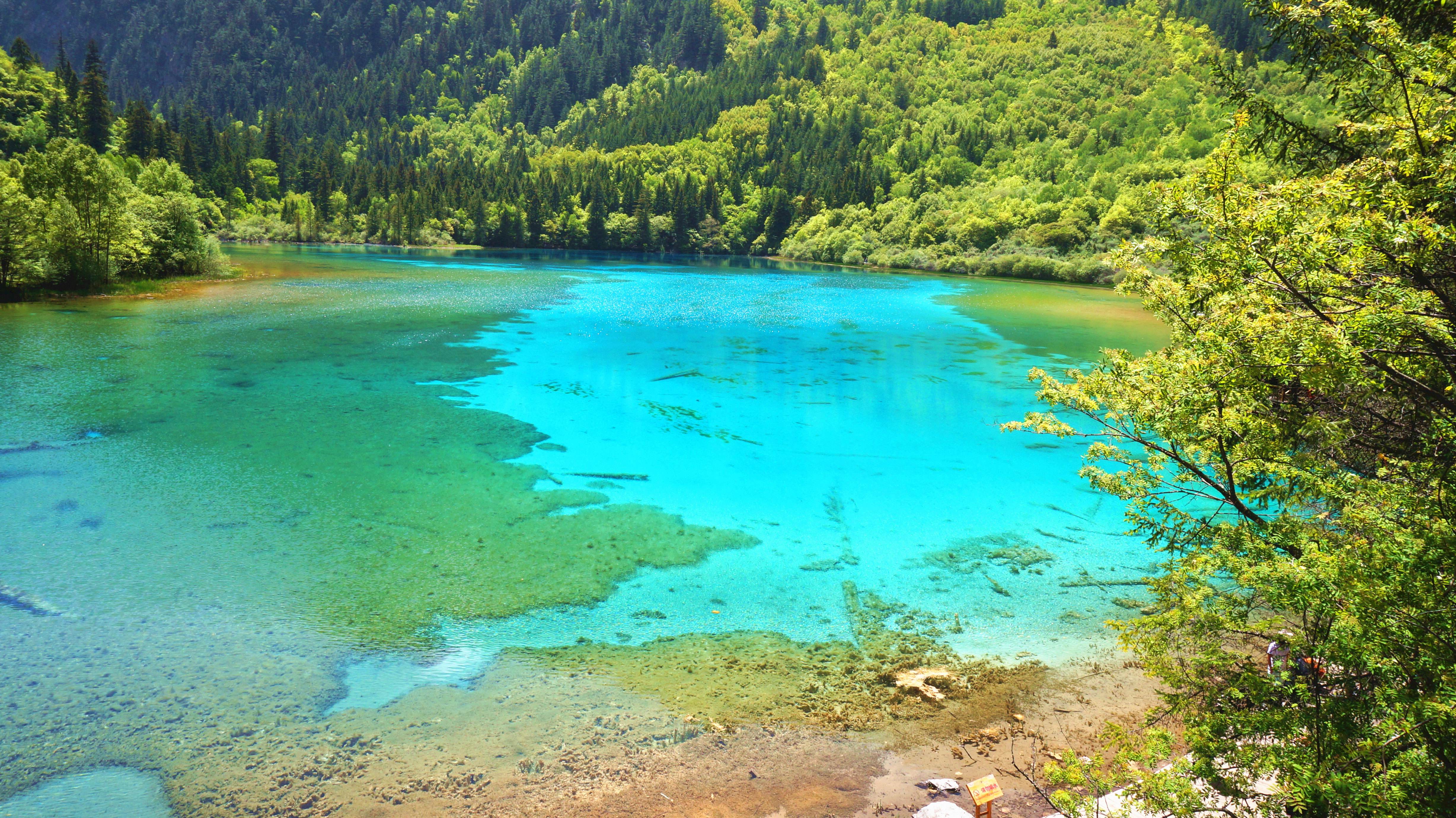 梦回迷离，探寻梦见猫然后不见了，却又再次找到的深层寓意
