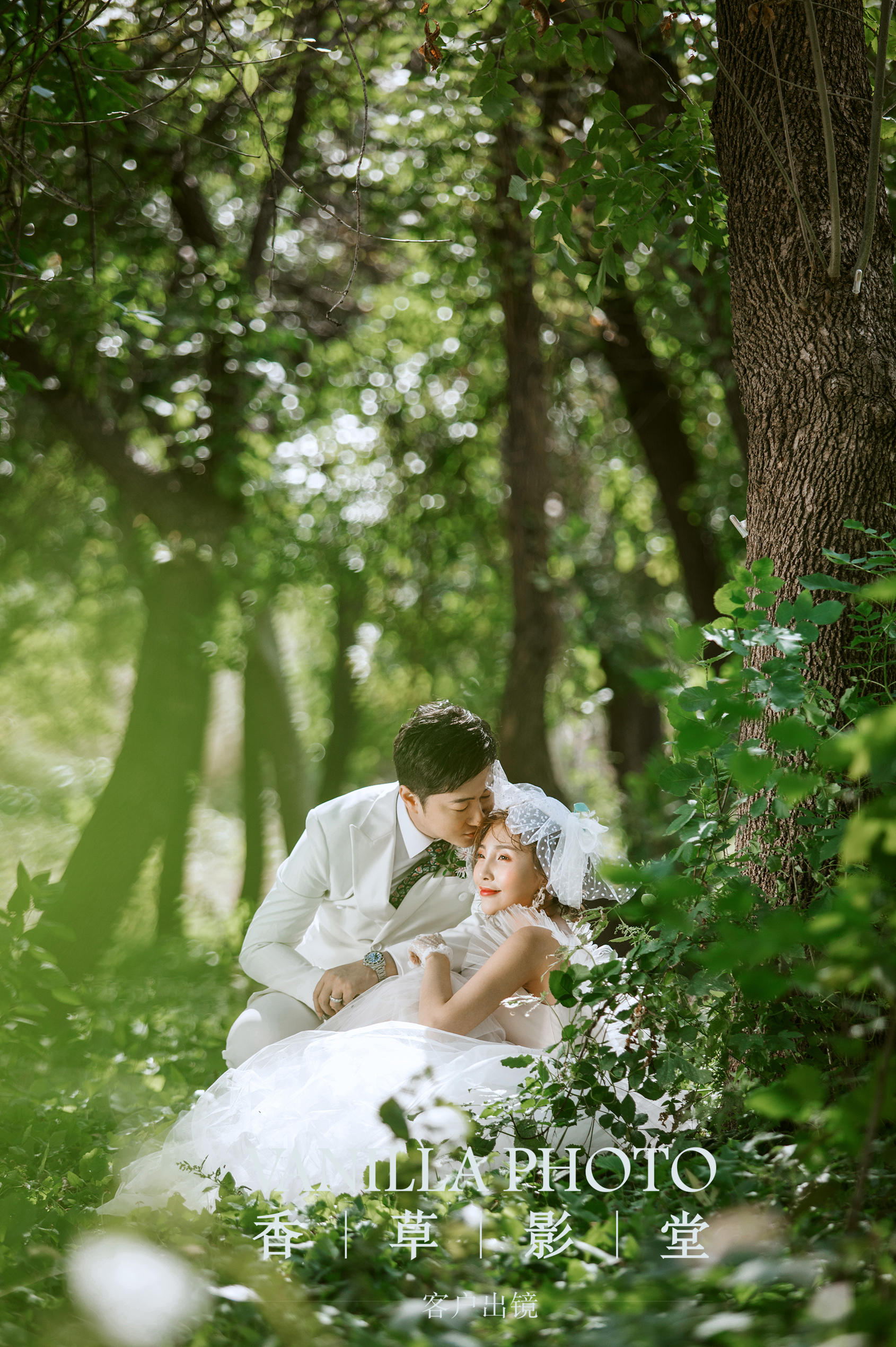 梦境迷踪，解析梦中双蛇之喻——白色与黑色的交织