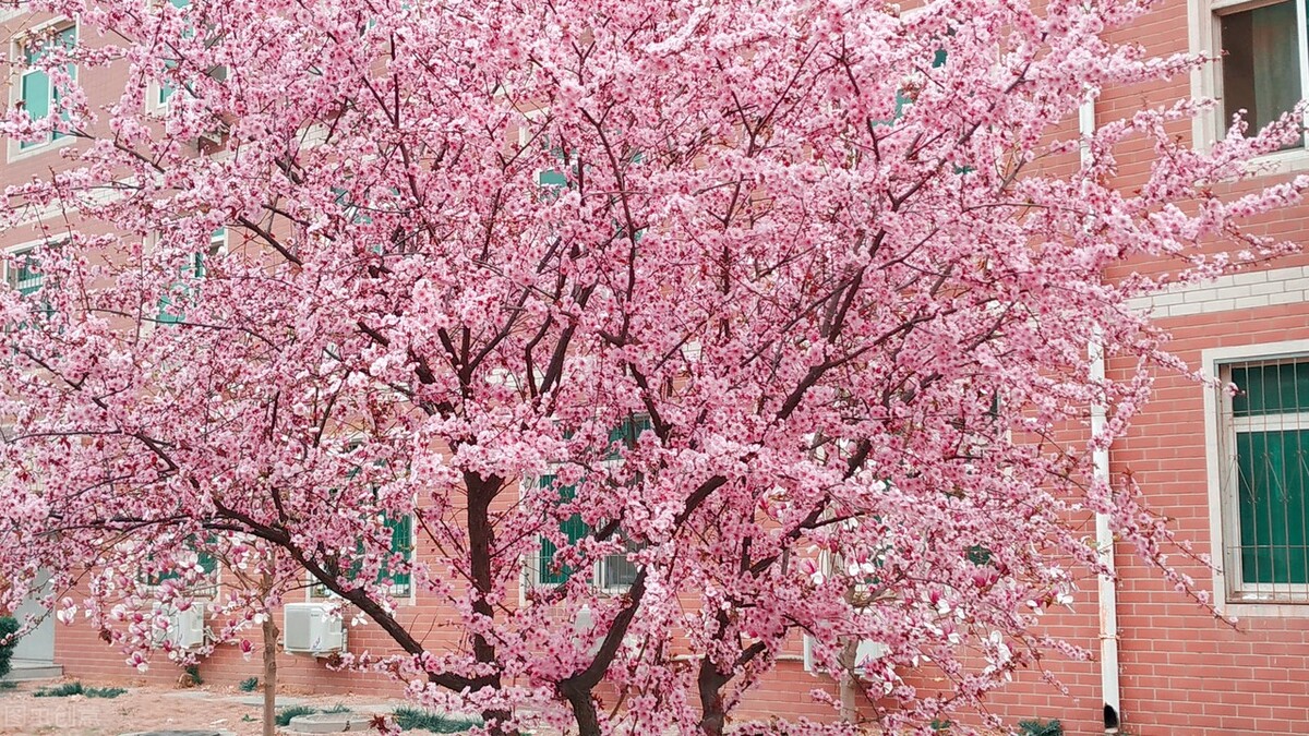梦见因车祸而飞翔，探索梦境背后的深层含义