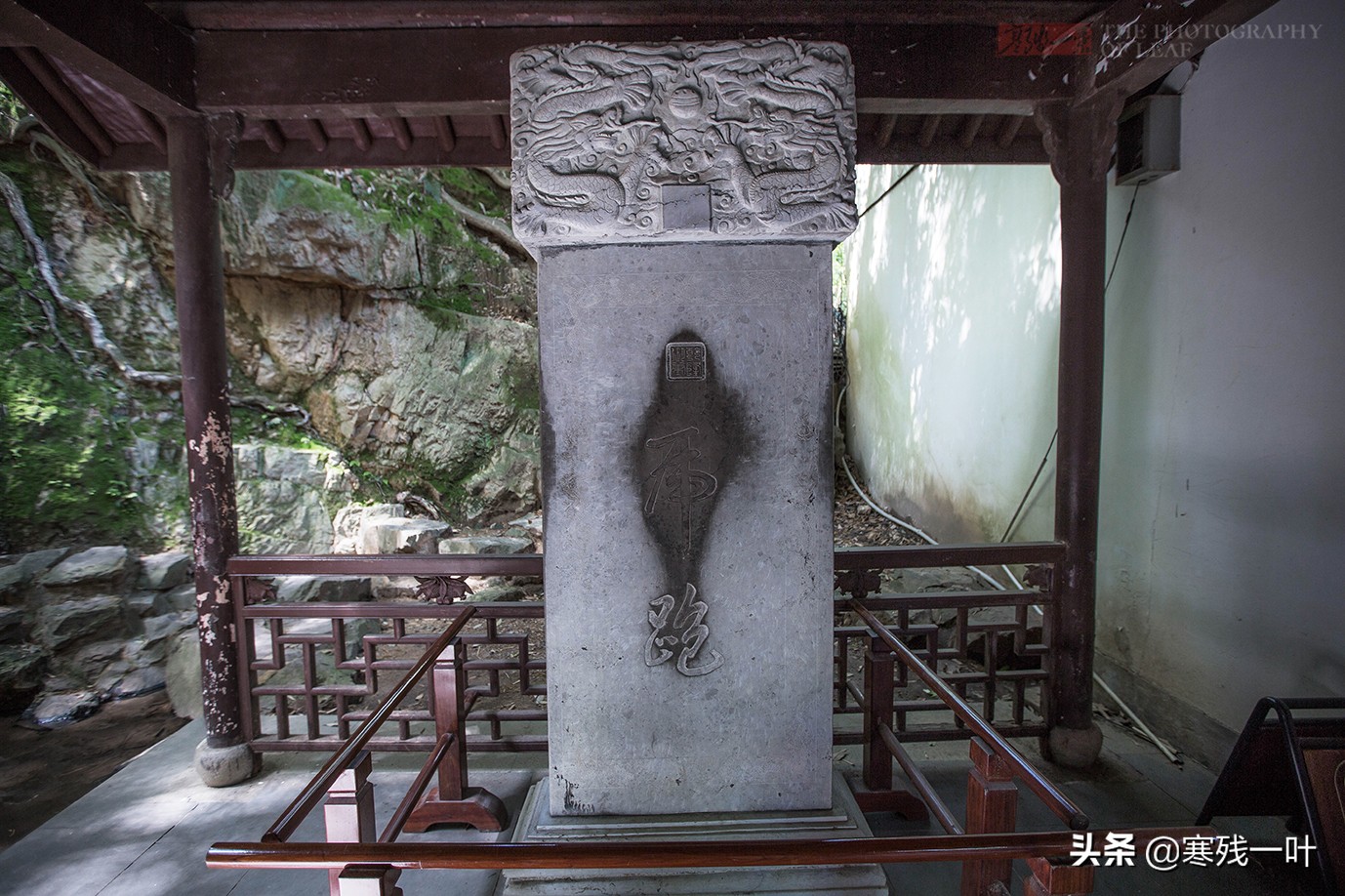 梦境的深意，解析梦见老虎追自己女儿，自己去救她的寓意与心理分析