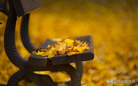 做梦梦见把我认识的人打废了怎么回事，解析梦境中的暴力与内心冲突