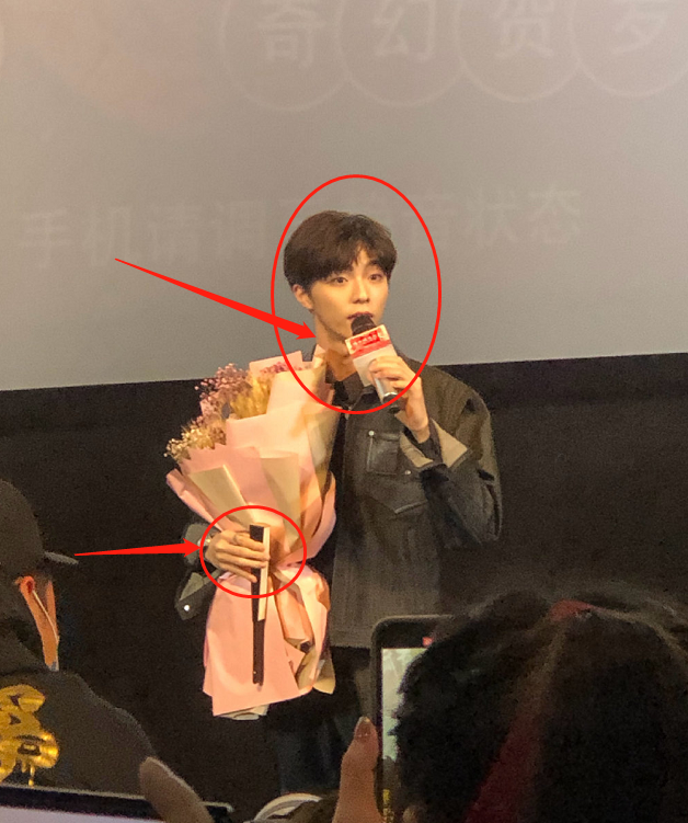 梦回乌龟之抱，守护与孤独的微妙平衡