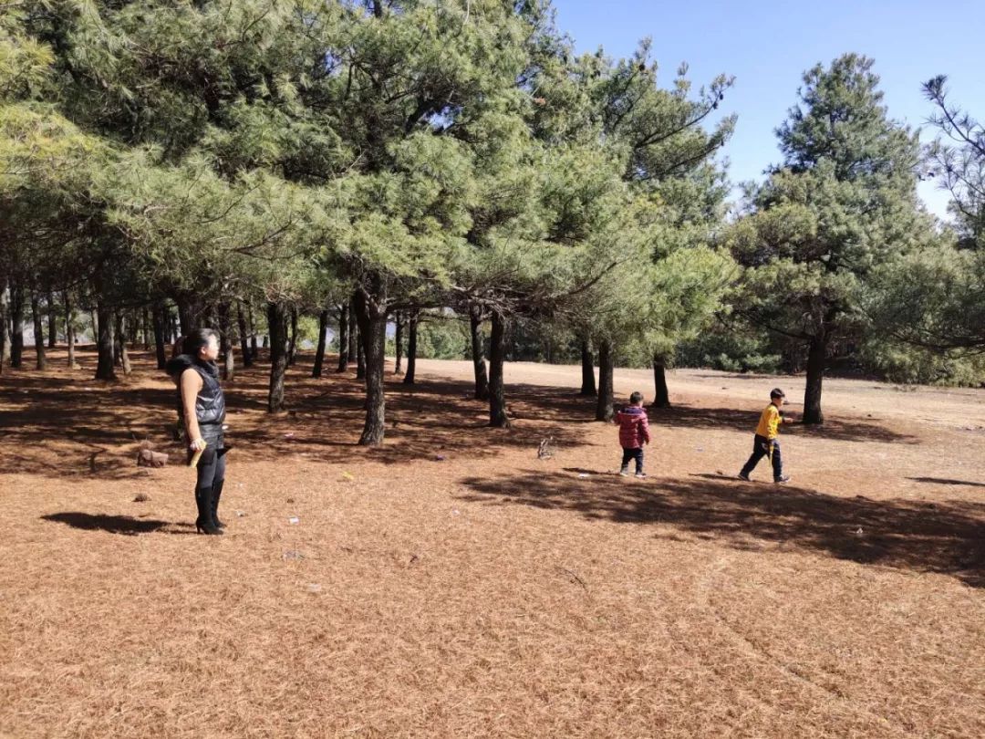 梦回往昔，姐夫梦中的前男友与情感释怀的隐喻