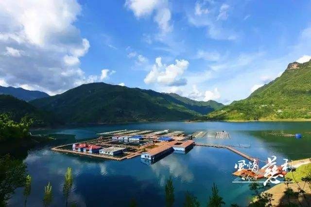 梦回彼岸，已故亲人归家之路的深层解读