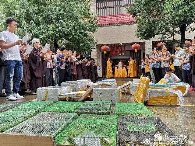 梦境的启示，面对失去与内心的救赎——解析梦见老婆掉进河里我没有救她被淹死了的深层含义