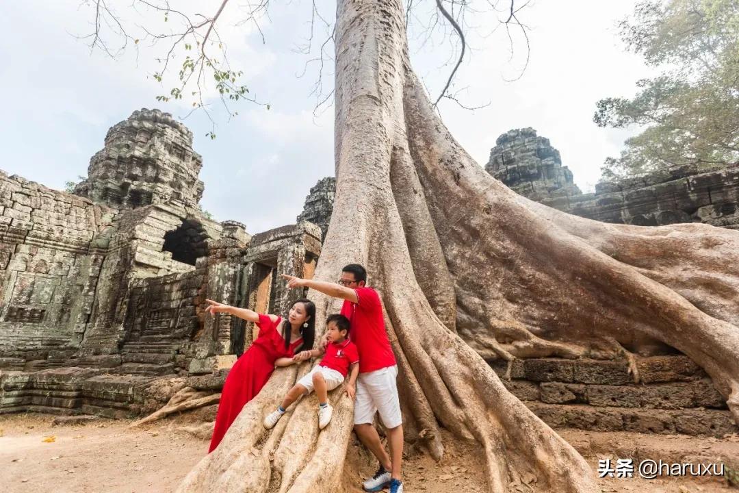 梦境解析，昨晚梦到家中蛇群——潜藏的寓意与心理暗示