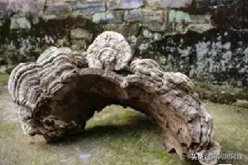 周公解梦，梦见自己捡到钱又丢失，寓意何在？