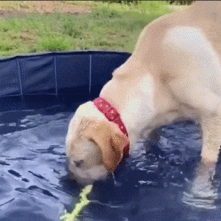 做梦梦到自己哭的很伤心是代表什么？