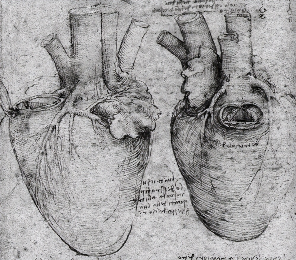 梦中的微小虫影，左手之痒的深层寓意解析