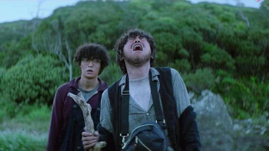 梦到蜥蜴解梦，探索潜意识中的神秘信号