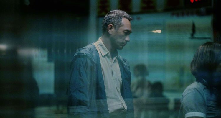 梦境解析，白猫主人的情绪转变与深层寓意