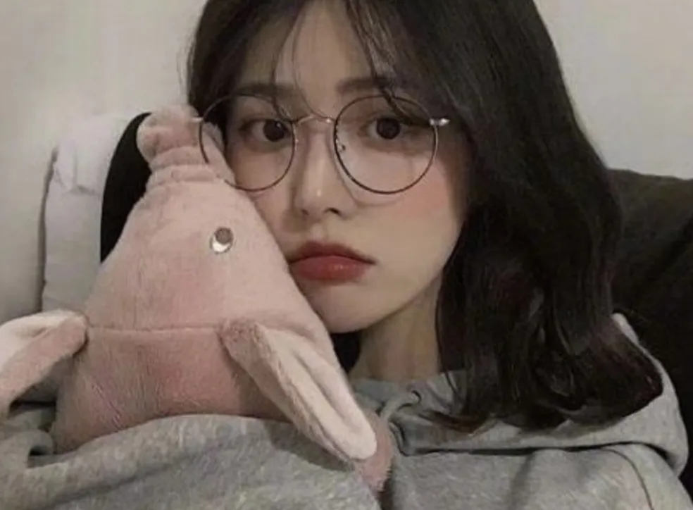 周公解梦，梦见两头大猪来我家的深层寓意与解析