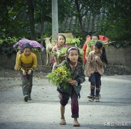 梦见爷爷去世预兆什么，探索梦境背后的深层含义与心理解析