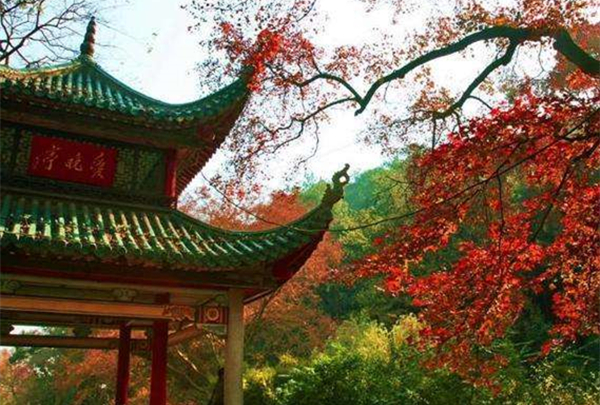 梦境迷离，解读做梦梦到死人复活的深层寓意