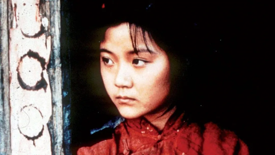 梦到被众人装进袋子，一场关于束缚与重生的心灵寓言