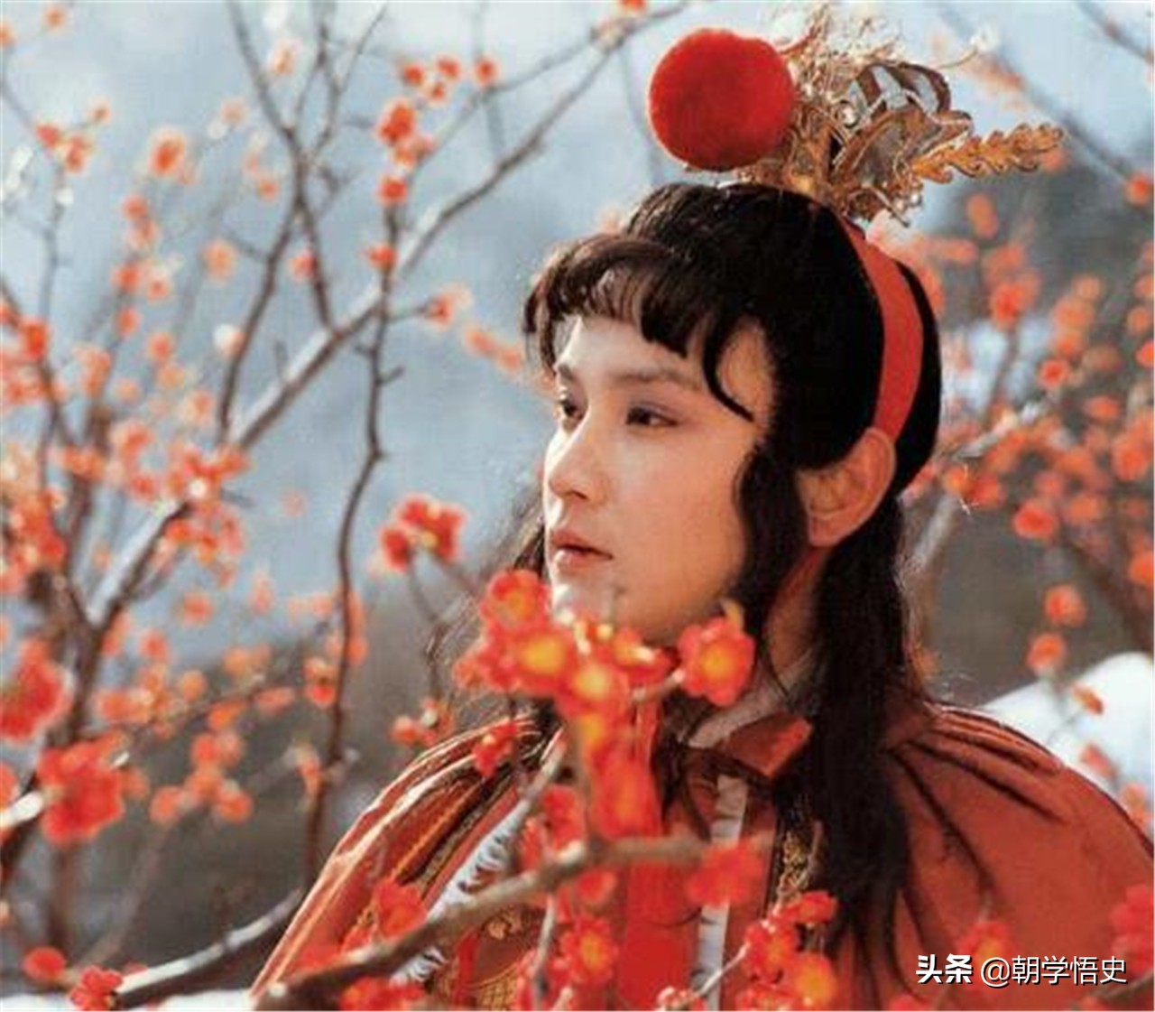 梦见狗变鱼再变蟒蛇，探索梦境中的奇幻旅程与深层含义