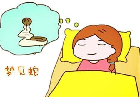 周公解梦，梦见老虎，奇奇怪怪，寓意何在？