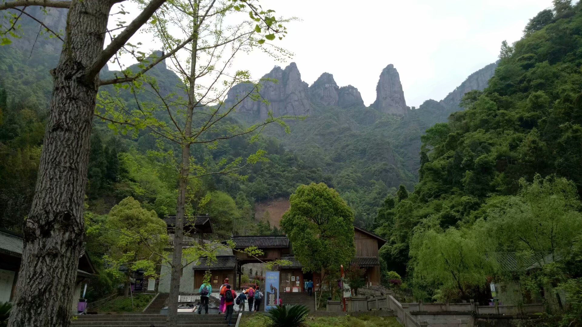 梦游丰饶之境，解析满山冬瓜黄瓜花圃的梦境寓意