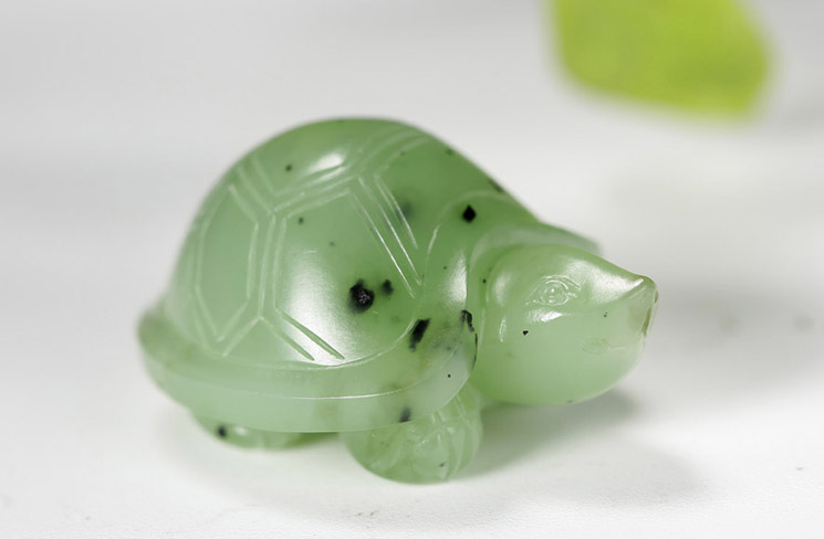 怀孕之人梦见乌龟，寓意深远，福祸相依的梦境解析