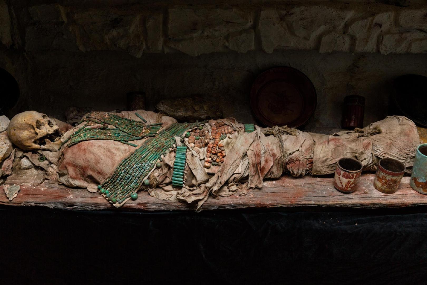 梦中的蛇影，恐惧与接纳的交织