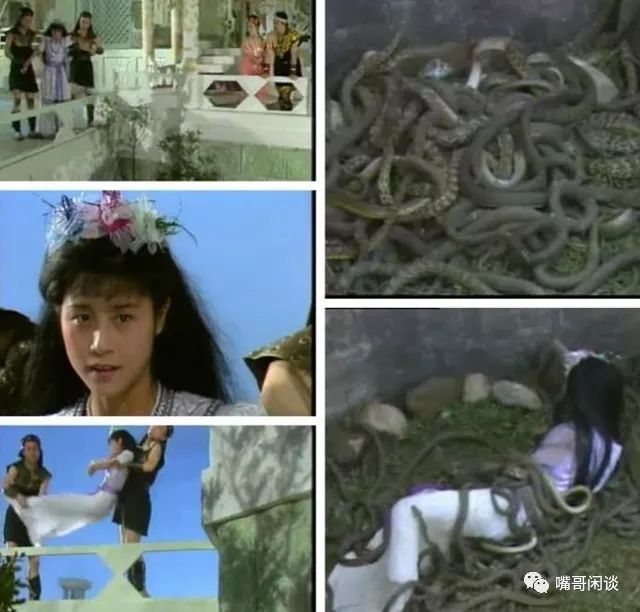 32岁女性梦境解析，蛇的游弋，预示着怎样的未来？