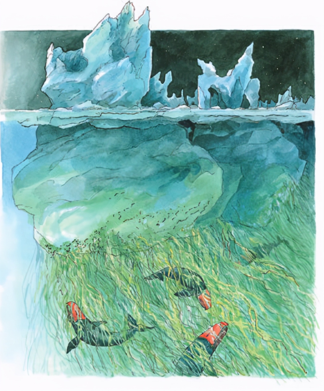 梦境中的奇遇，路中间的树，寓意与解析