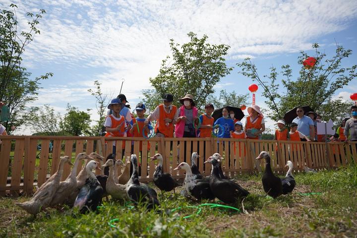 梦境解析，梦见一条大鱼陷入泥泞之中