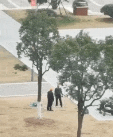 梦见自己把狗打死，周公解梦大全解析
