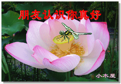 梦境交织，探究为何每晚梦见同一女性身影