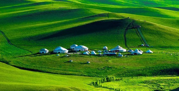 梦狼求解梦，探索梦境中的神秘狼影