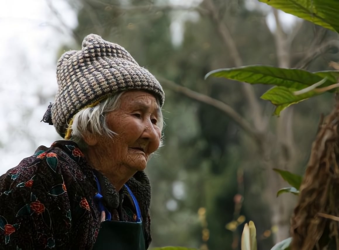 孕妇周公解梦，坟墓中的老婆婆与神秘馈赠的寓意