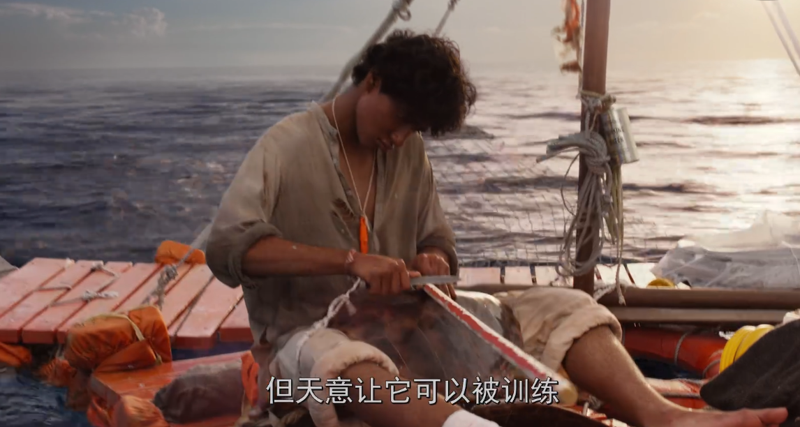 周公解梦，梦到自己驯服老虎的深层寓意与心理解析