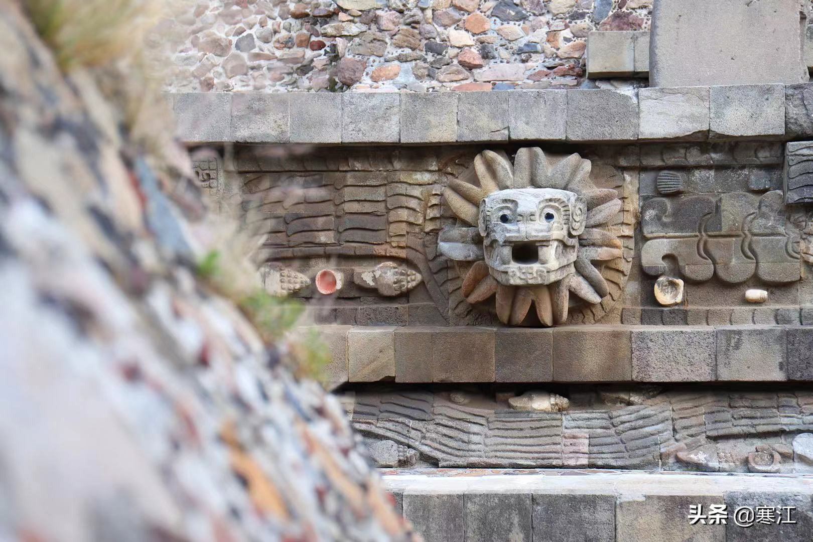 梦境迷雾，解析梦到活人死了的深层含义与心理影响