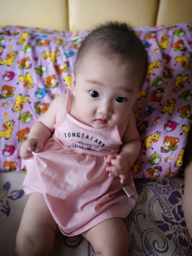 求解梦，梦中偶遇一只小黑狗，寓意何在？