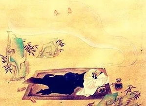 梦境奇遇，老虎狮子温柔触碰儿子之兆