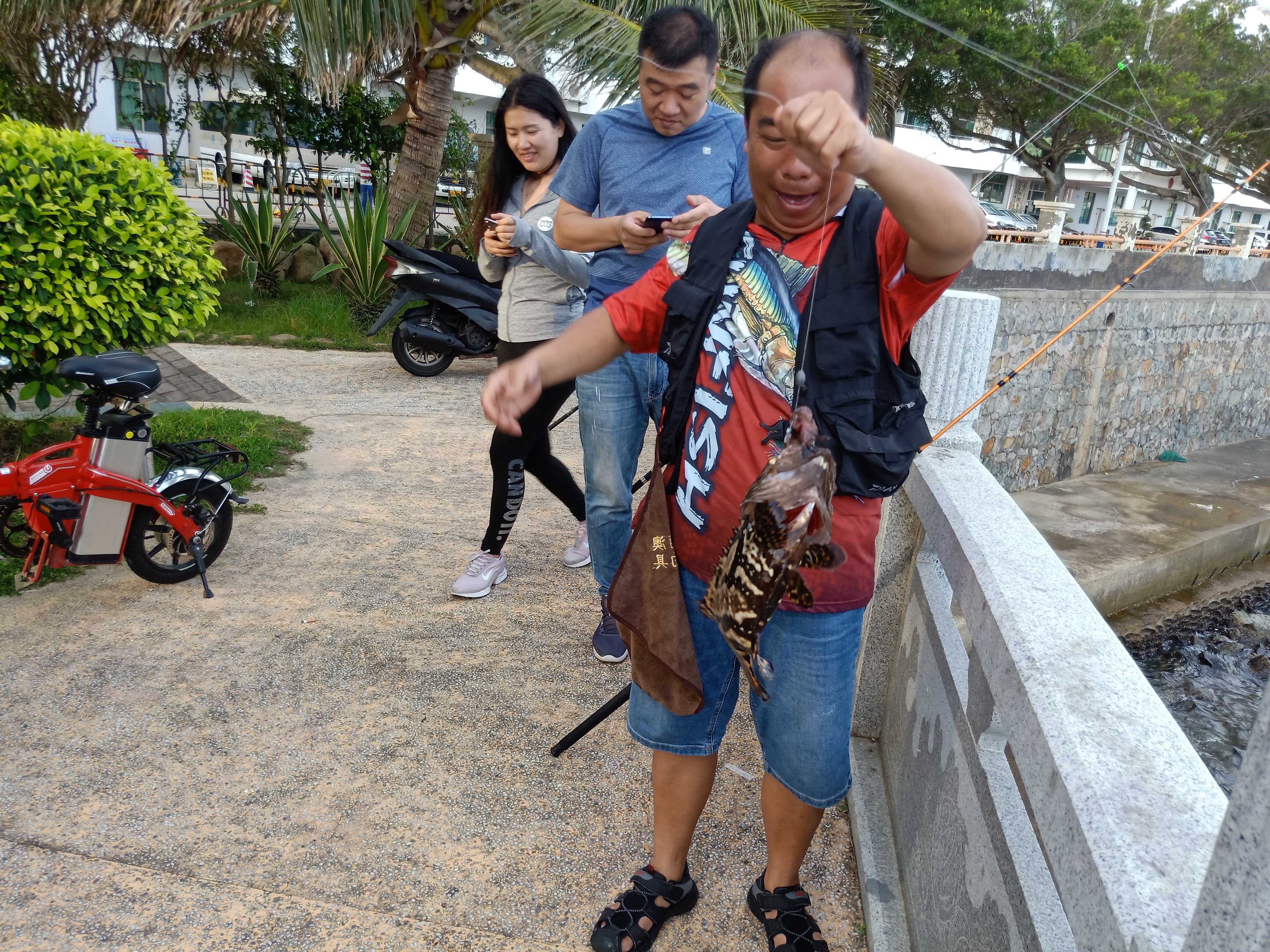 做梦梦到几条蛇，梦境背后的深层含义与解析