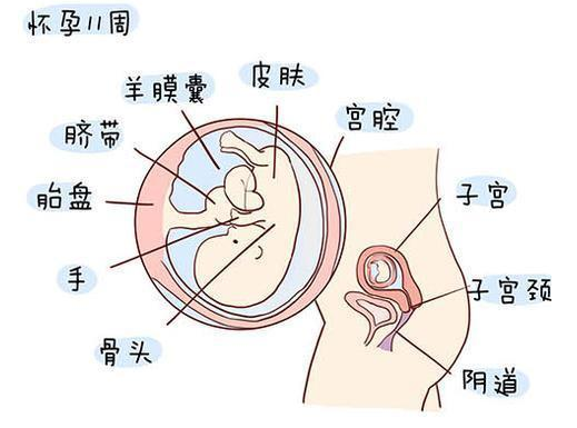 周公解梦，怀孕梦见胎儿不发育，寓意何在？