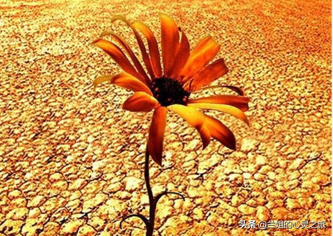 解析梦境中的情感纠葛，为何总是会梦见前男友，且梦中自己总是不开心？