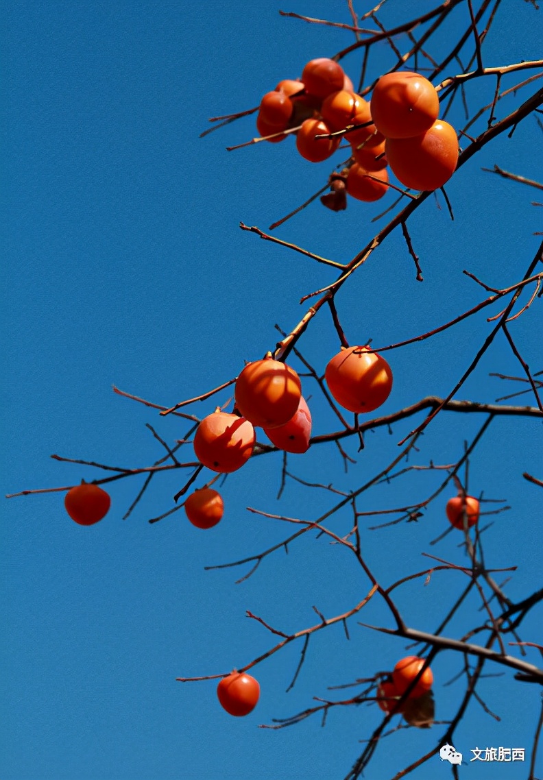 梦中迷雾，未知死亡的亲人归家之谜